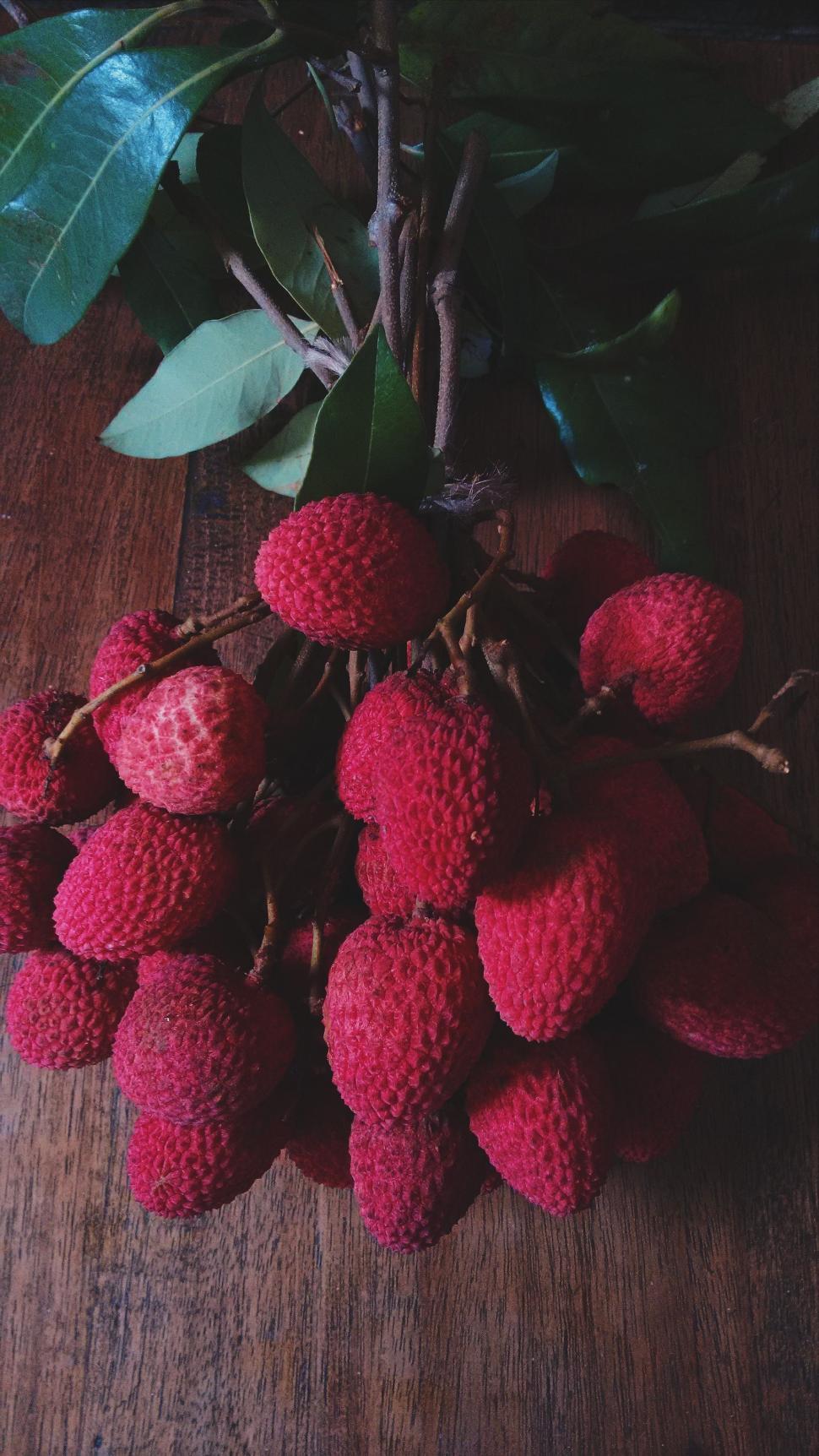 Free Image of Red litchi fruit 