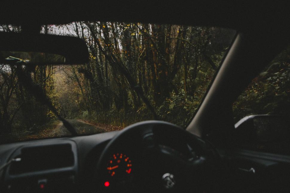 Free Image of Inside view of car driving in forest 
