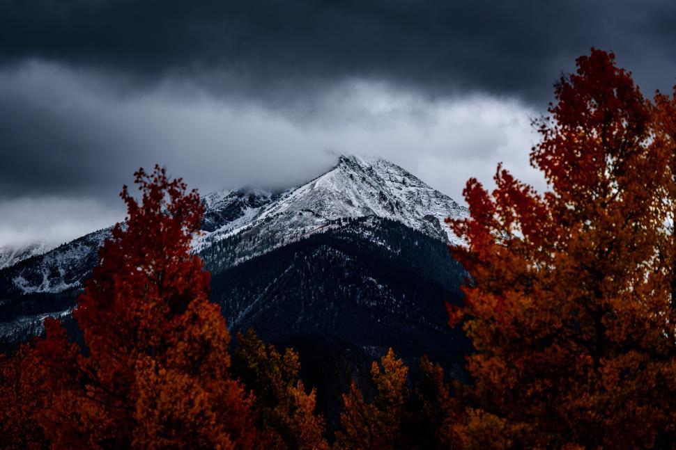 Free Image of Red Leaves Trees and Snow Mountain  