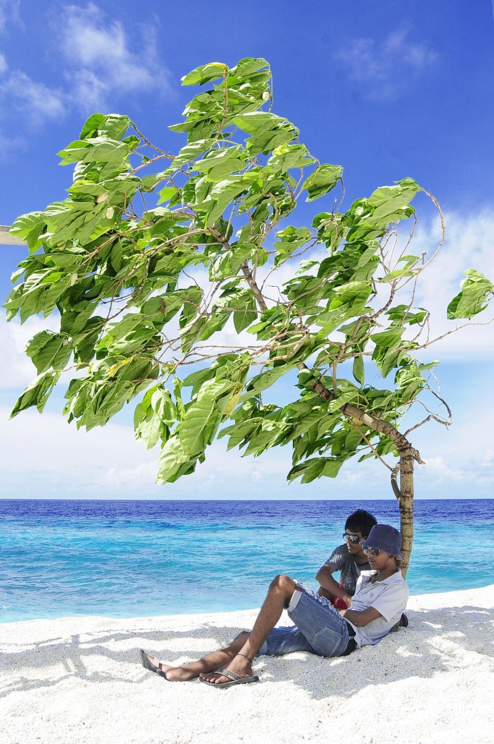 Free Image of Two Men sitting under tree on beach  
