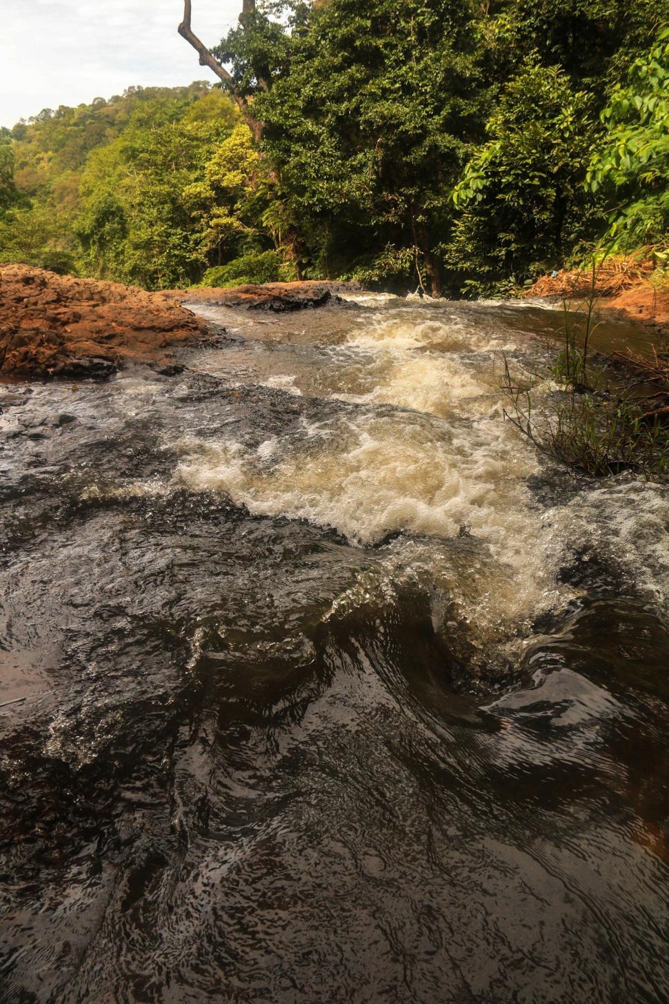 Free Image of Forest River  
