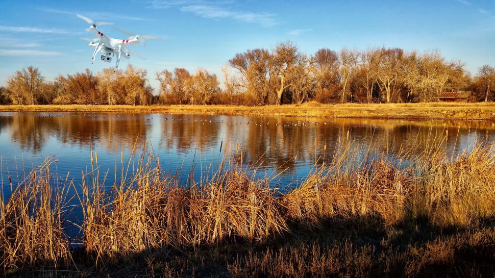 Free Image of Drone Camera and Lake with Cattail reeds 