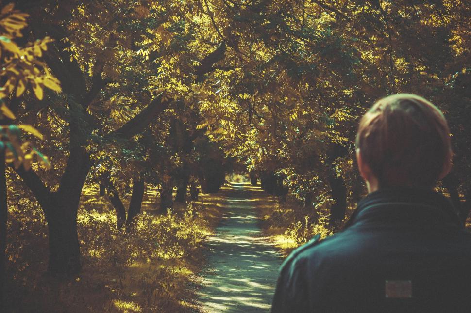 Free Image of Man and Autumn Trees  