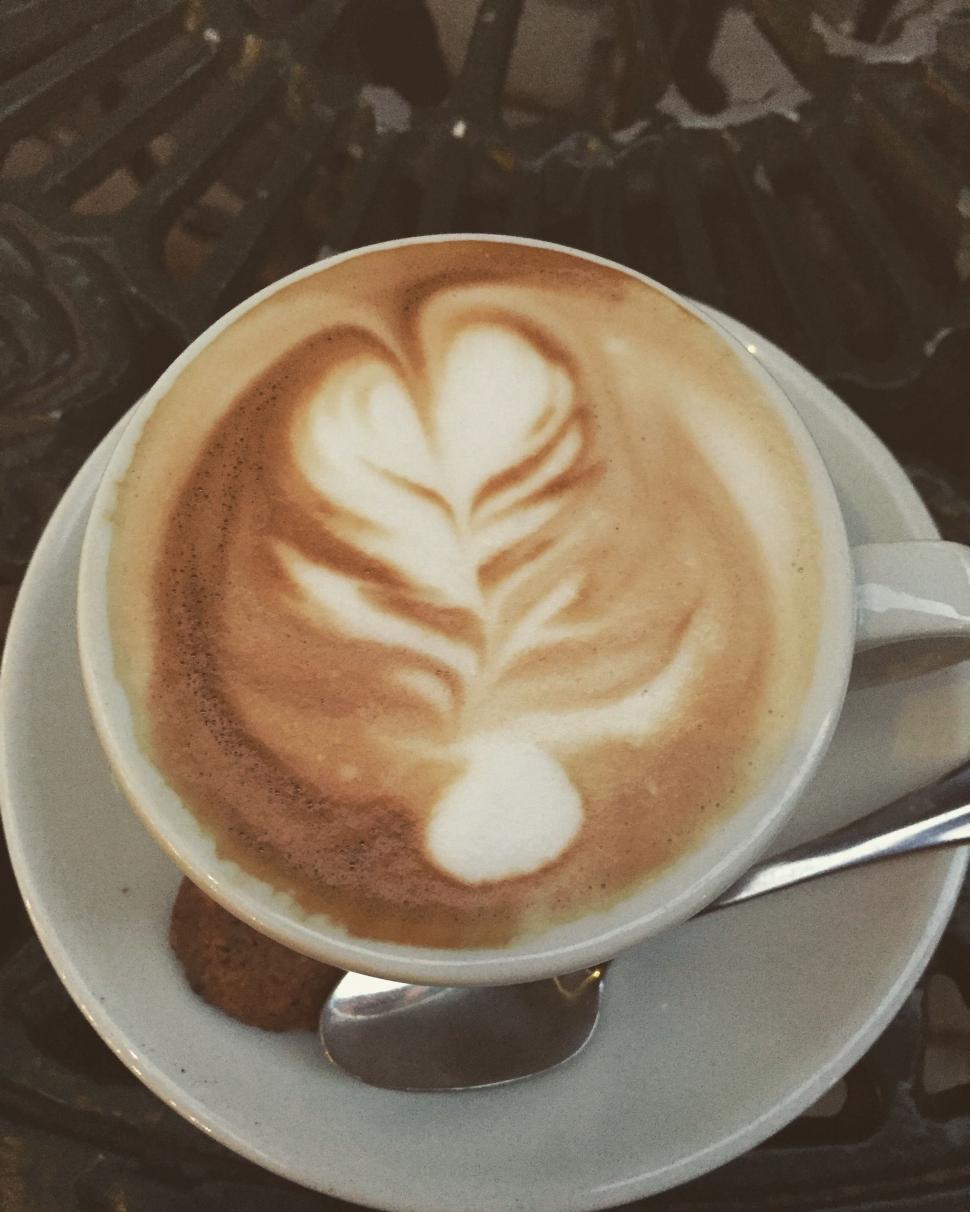 Free Image of Cappuccino 