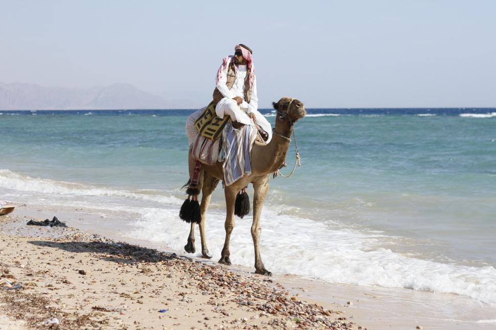 Free Image of Arab Man and Camel  