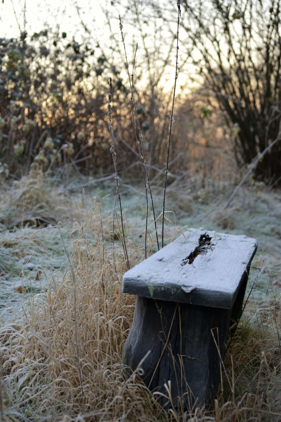 Free Image of Lonely bench 