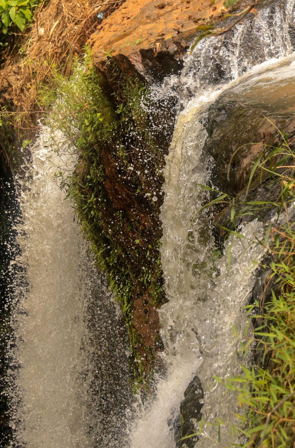 Free Image of Green Leaves and Waterfall  