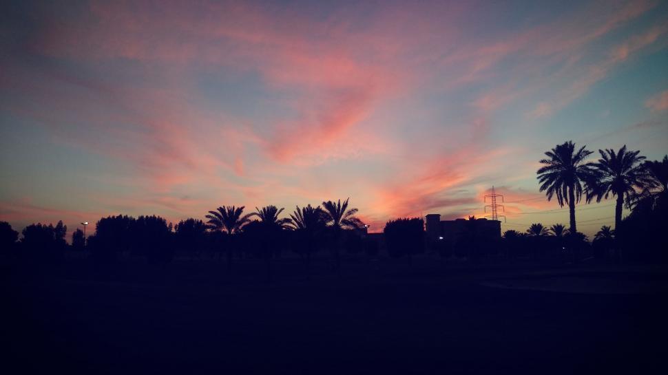 Free Image of Palm Trees and Sunset Sky 