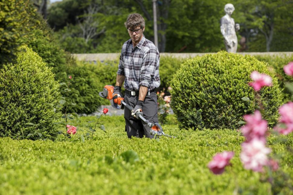 Free Image of Man with Hedge Mower 