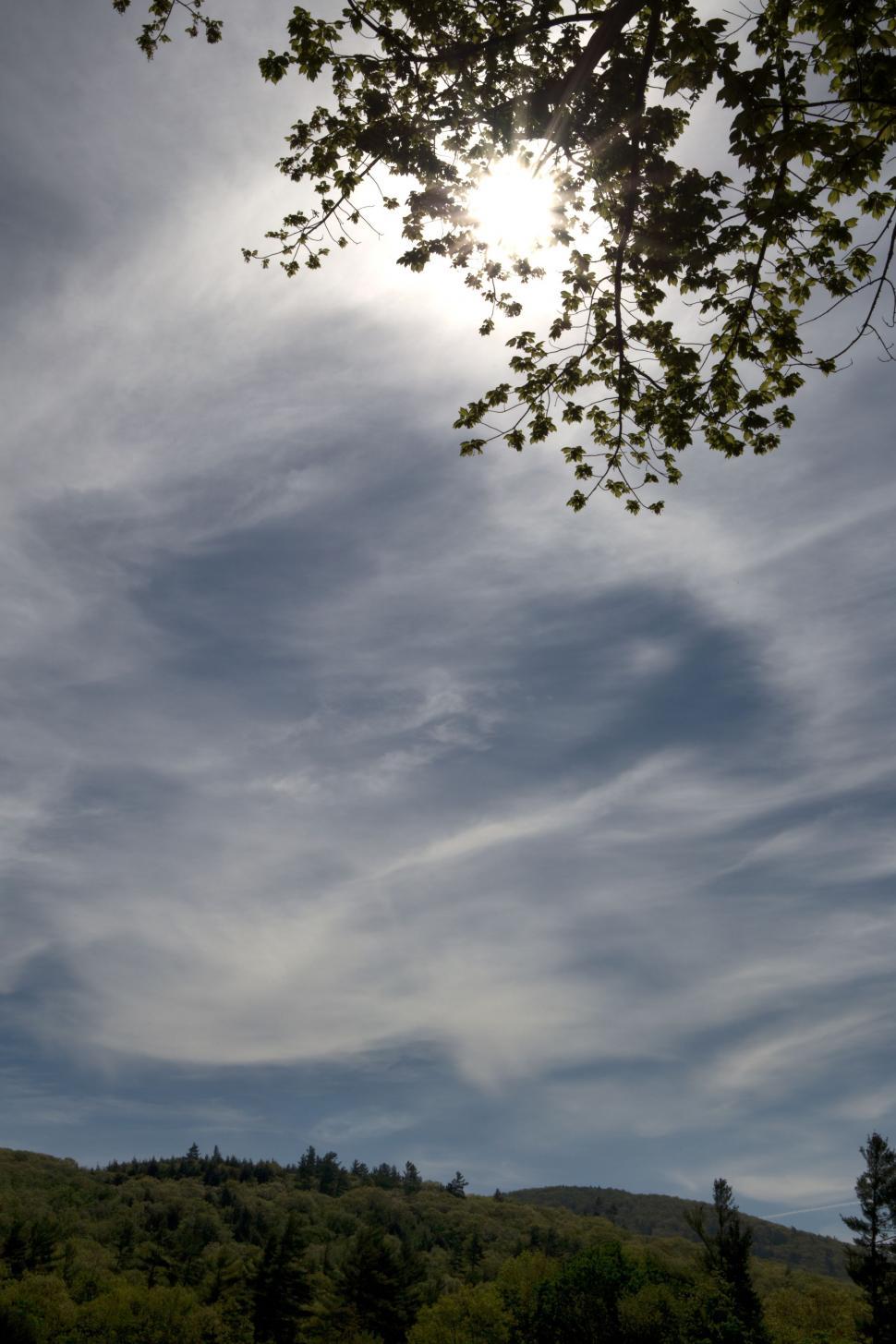 Free Image of Tree Leaves and Sun With Clouds  