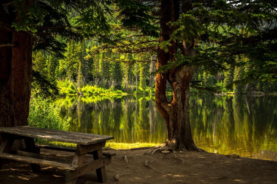 Free Image of Wooden Bench and Lake  
