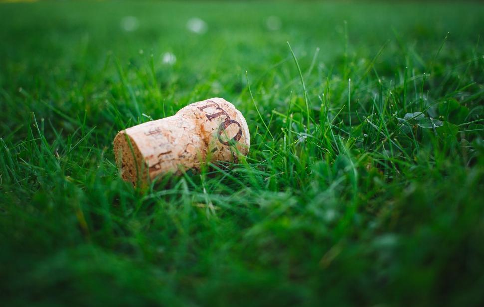 Free Image of Wine Cork on Dew Grass  