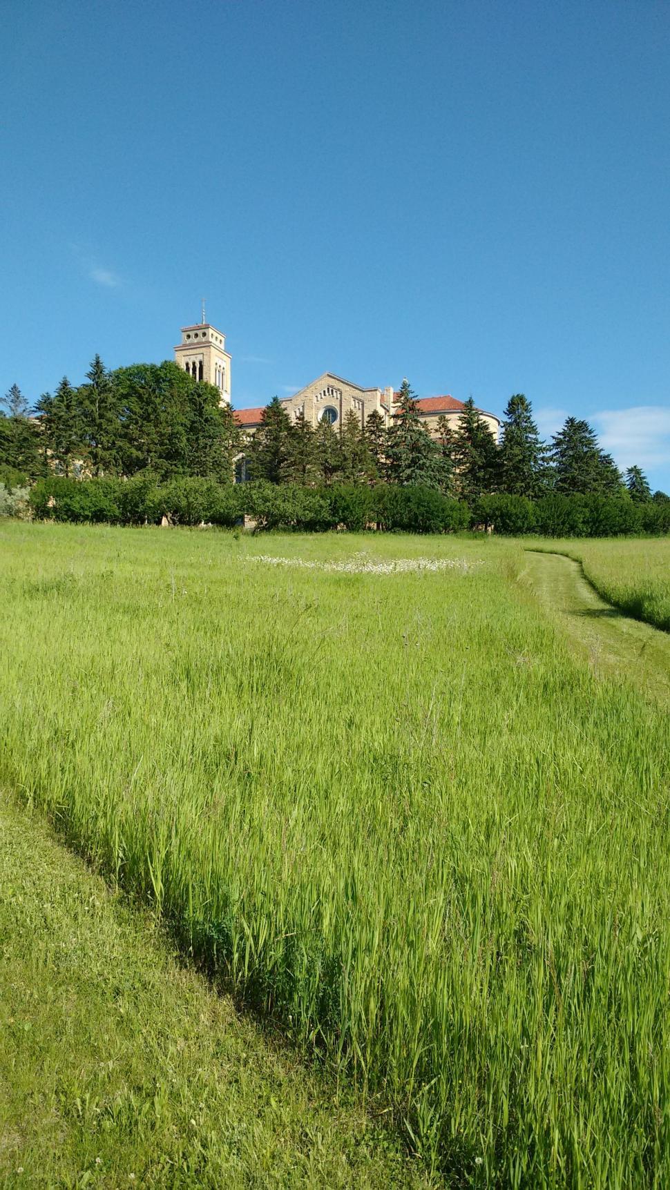 Free Image of Church Building and Grass 