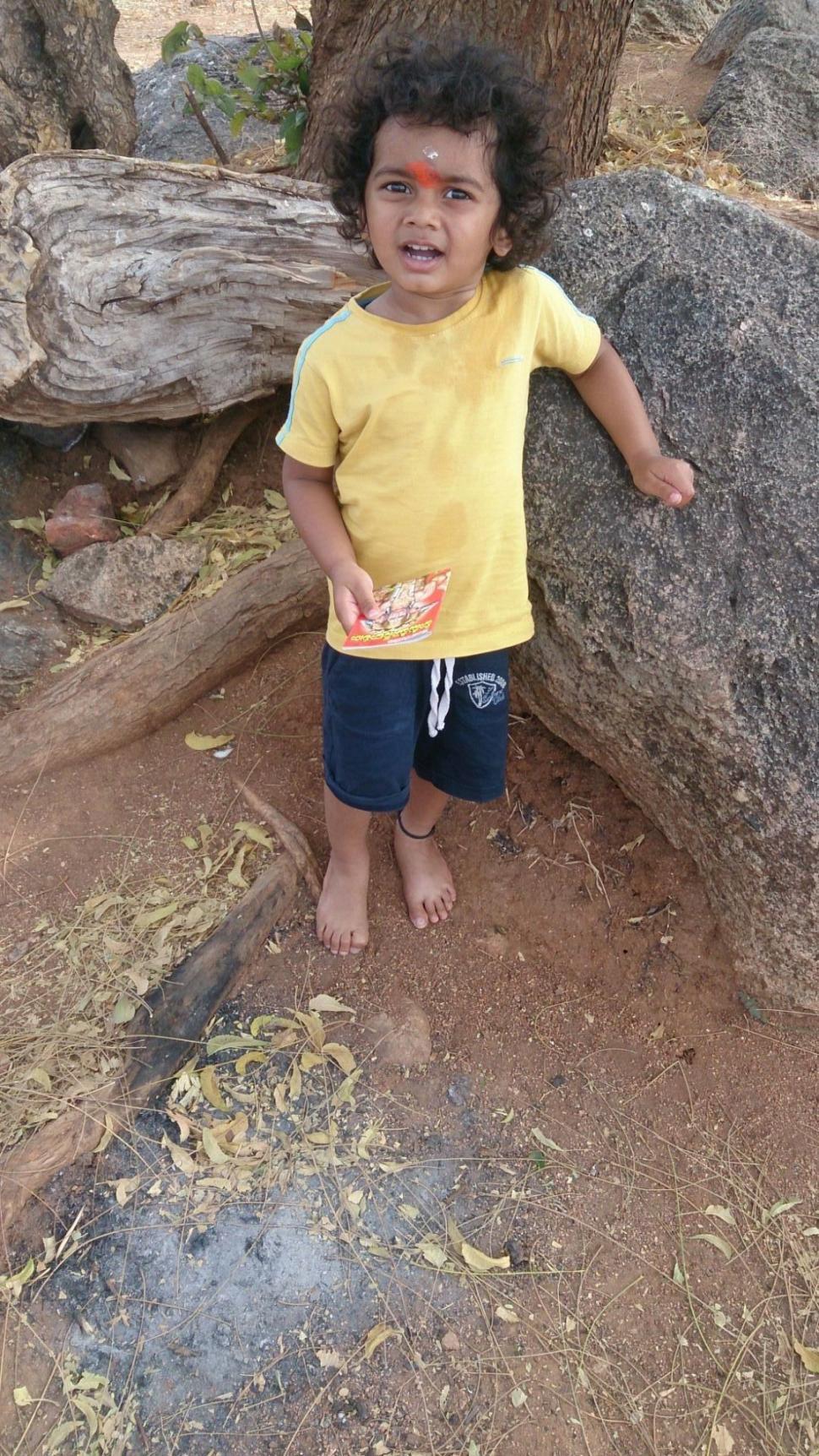 Free Image of Little Hindu Boy With Tree Trunks  