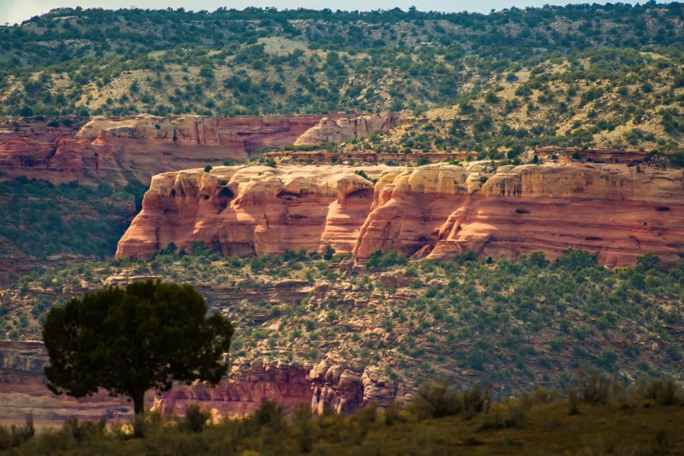 Free Image of Red Mountains in Sedona, Arizona  