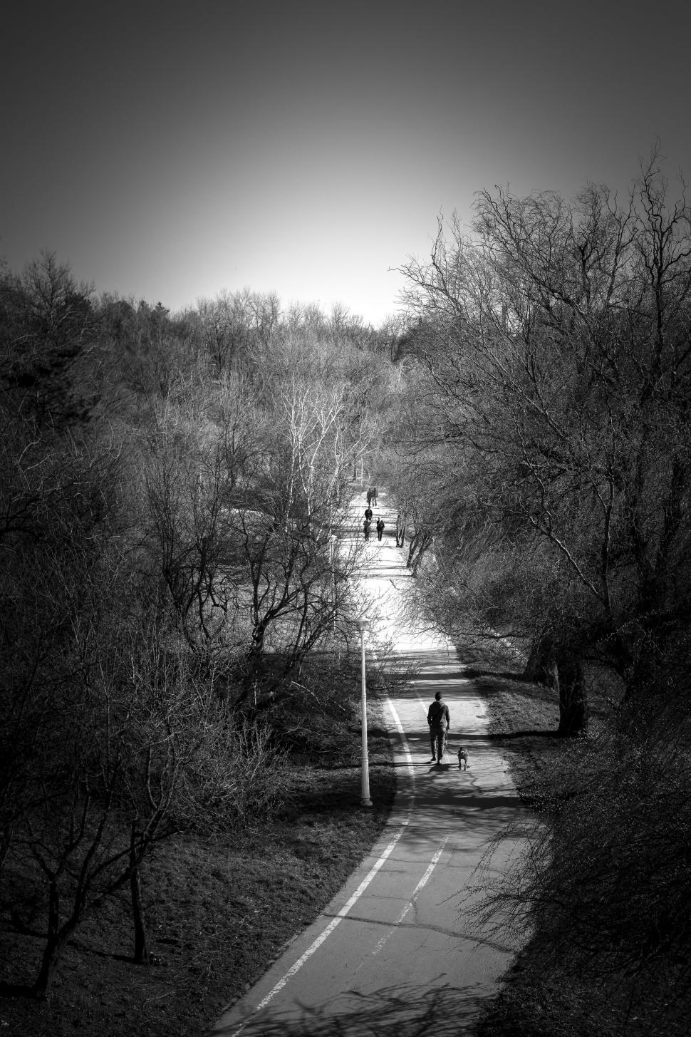 Free Image of People walk on footpath in the park 