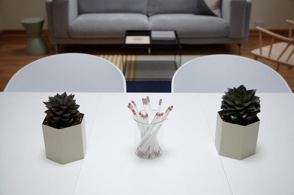 Free Image of Pot Plants on Table  