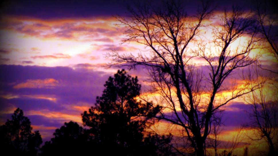 Free Image of Colorful Sunset and Trees  