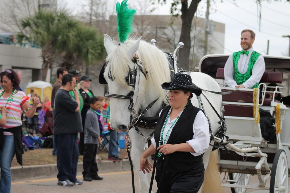 Free Image of People in Louisiana Irish-Italian Parade  