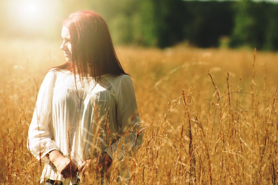 Free Image of Red Hair Woman in golden grass field  