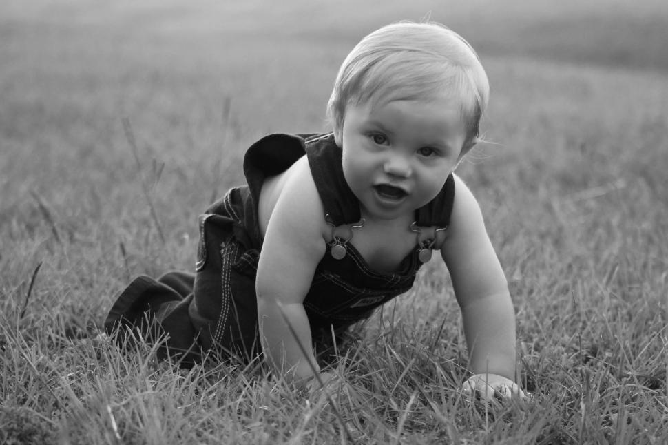 Free Image of Little Boy in Grass Field - looking at camera  