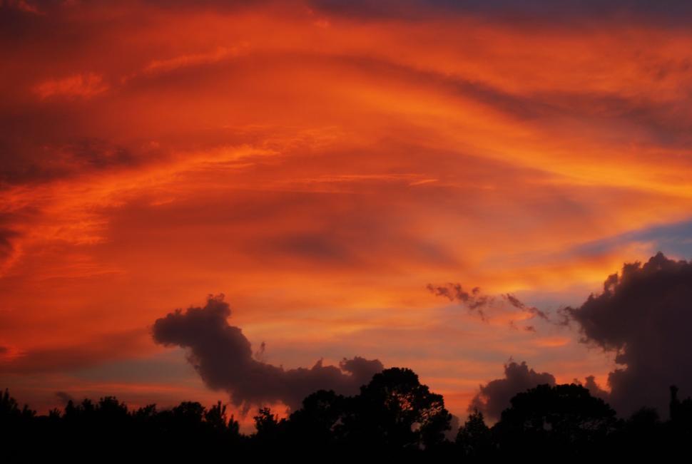 Free Image of Silhouette of trees with orange clouds in the sky 