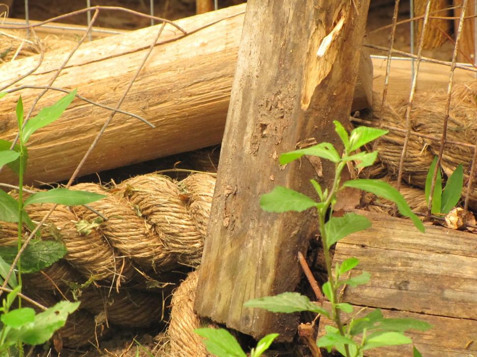 Free Image of Wood Logs and wire fence with green leaves  