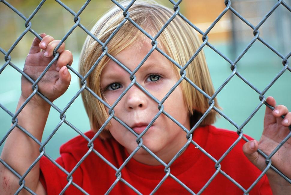 Free Image of Little Boy and chain link fence 