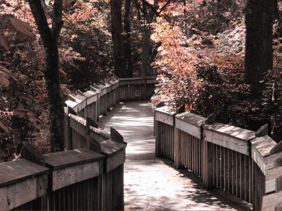 Free Image of Bridge and Trees - Sepia  