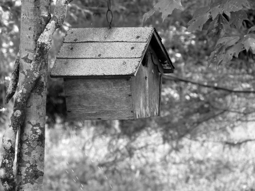 Free Image of Black and white view of Birdhouse 