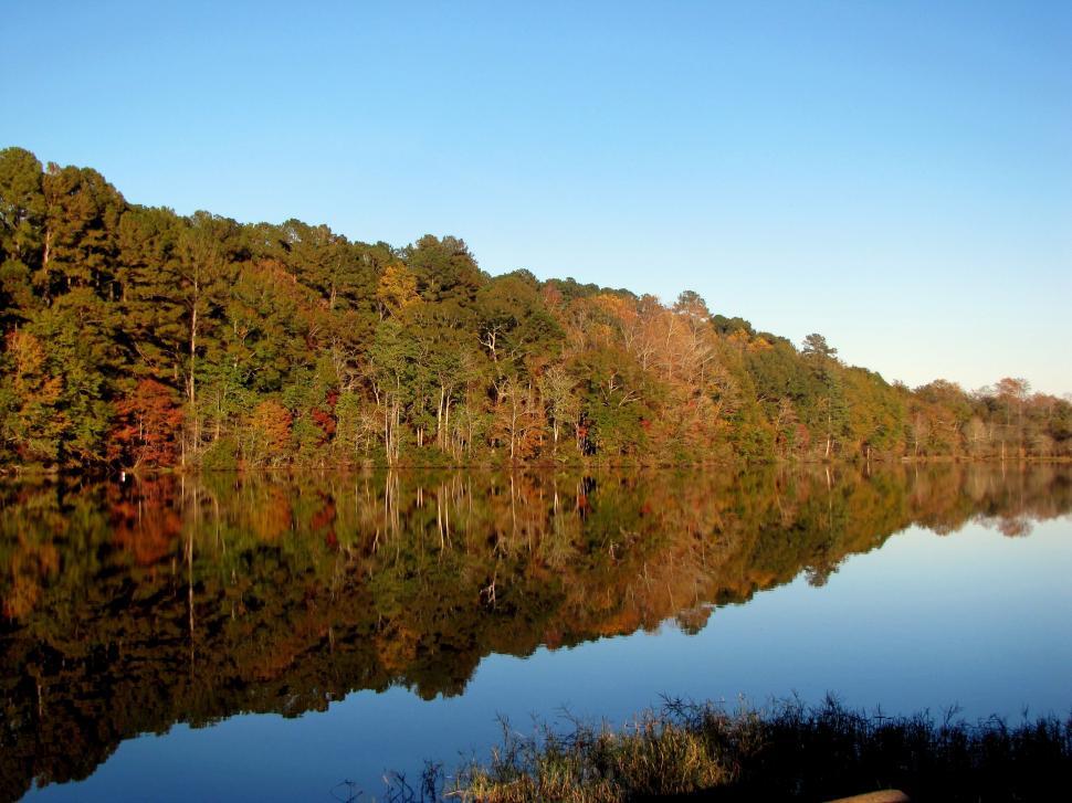 Free Image of Lake and Autumn Trees  
