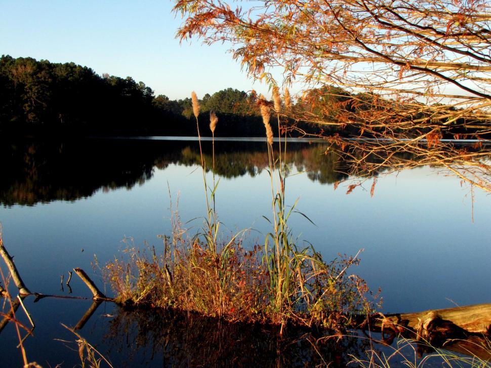Free Image of Lake and Trees  