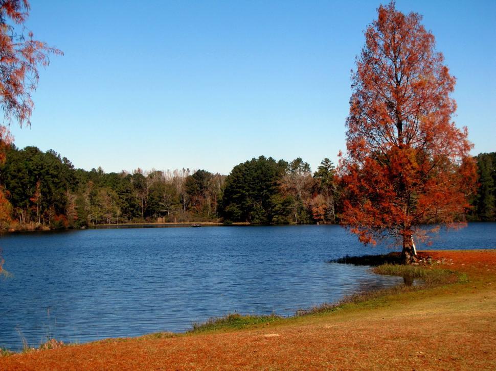 Free Image of Autumn Trees With Lake  
