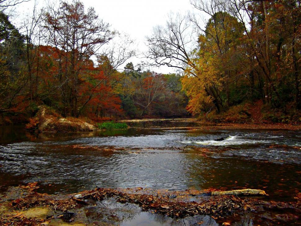 Free Image of River and Autumn Trees  