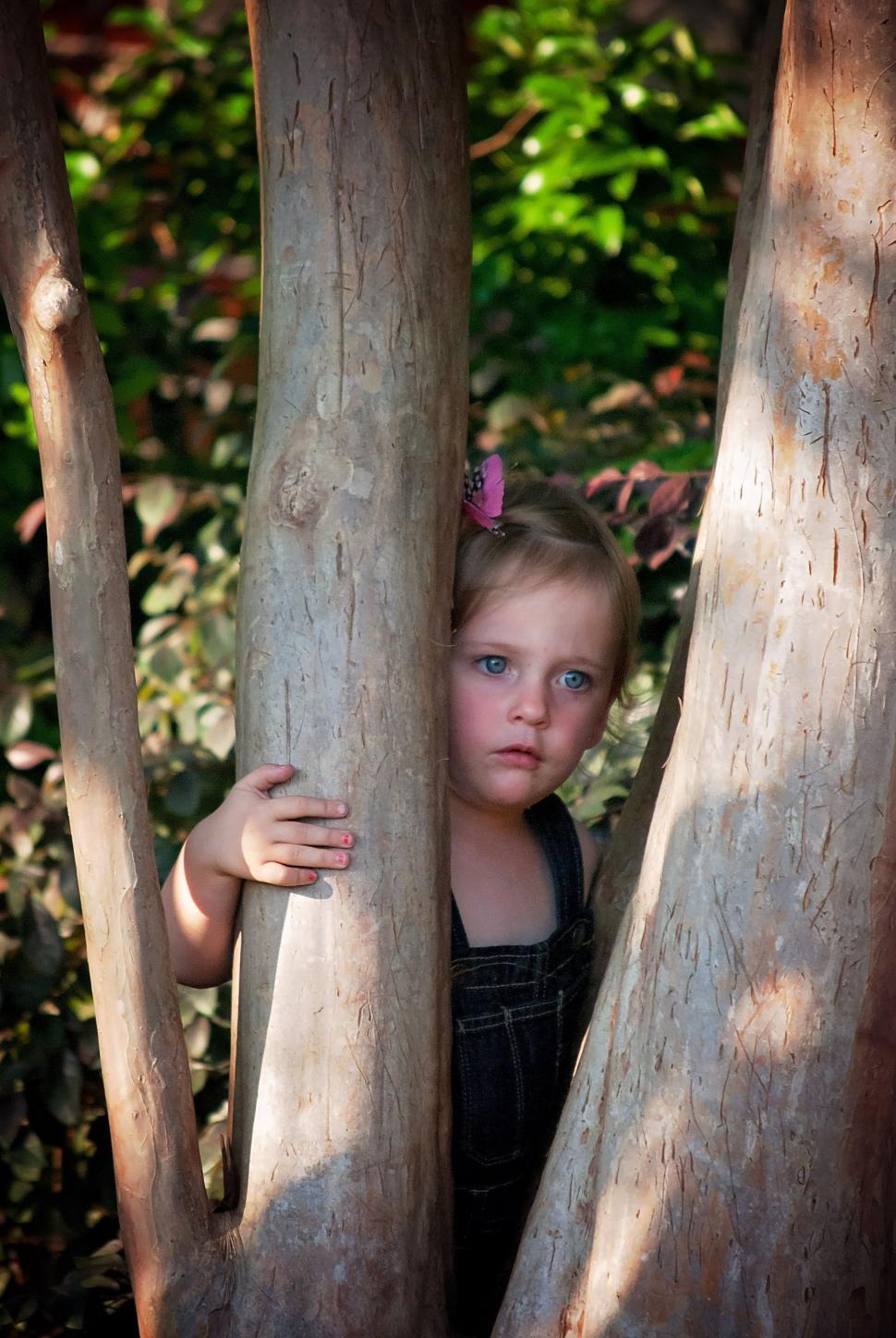 Free Image of Cute Little Girl With Trees - Looking Away  