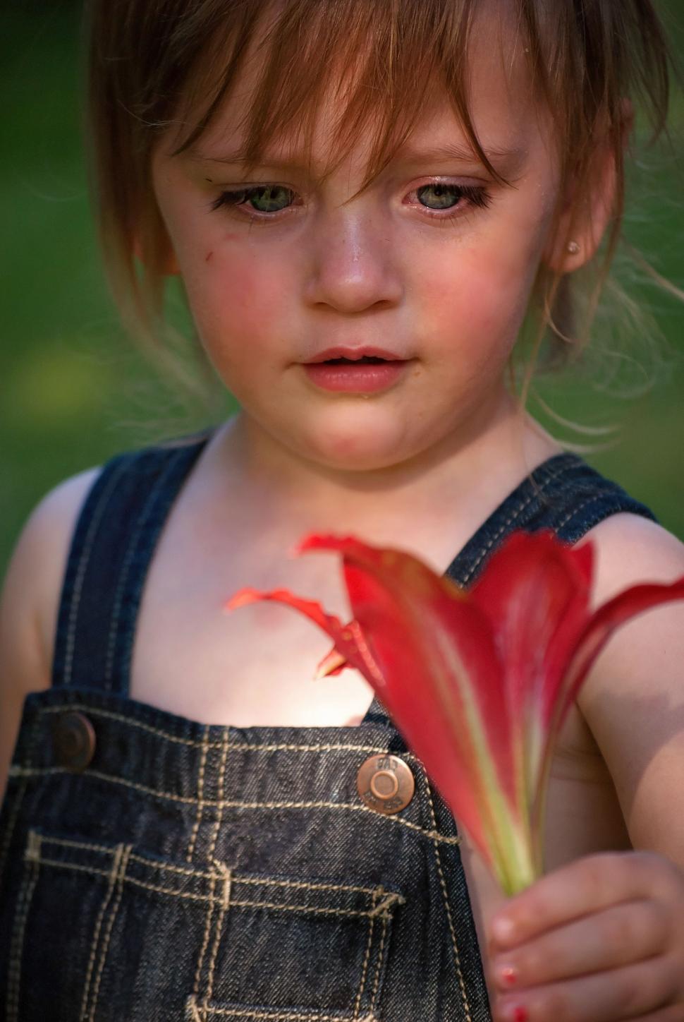 Free Image of Cute Little Girl with Flower 