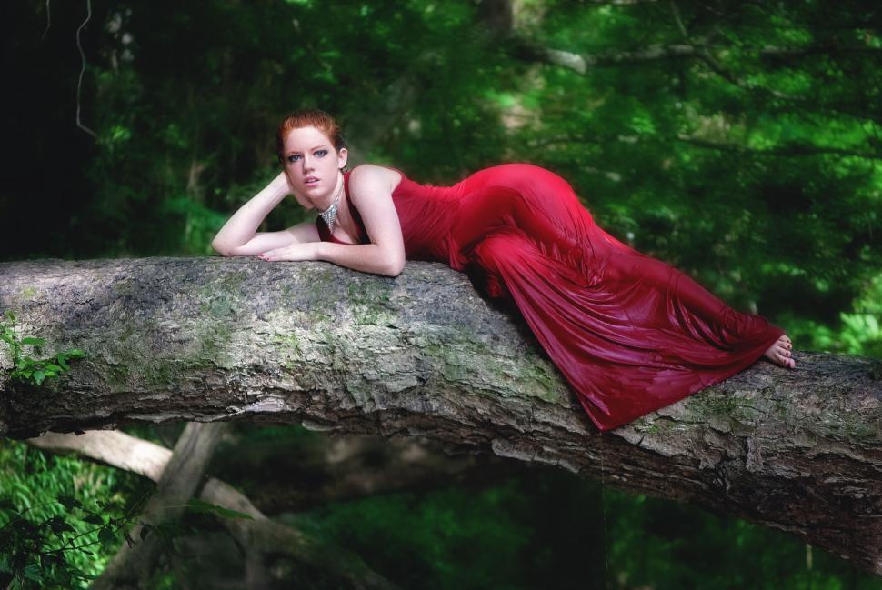 Free Image of Young Female Fashion Model in Wet Red Dress On Tree  