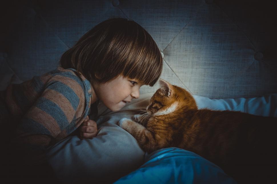 Free Image of Little Kid And Cat - Looking at each other 