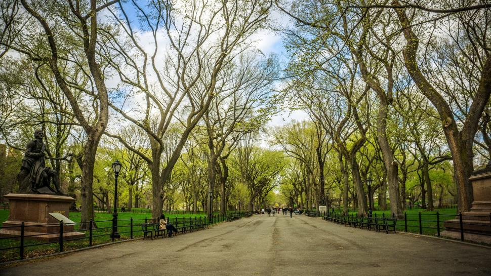 Free Image of Walkway And Cherry Trees With Robert Burns Statue - Central Park, NYC 