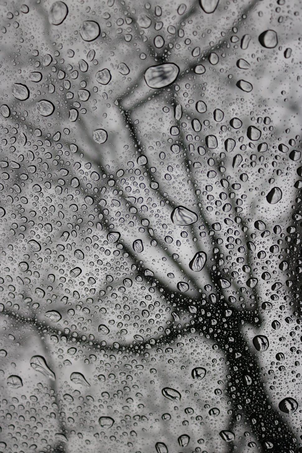 Free Image of Glass Window with water drops 