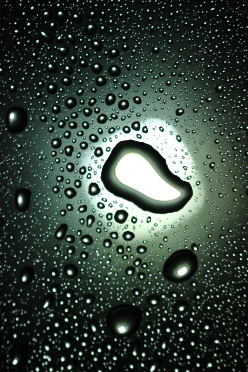Free Image of Water Drops - Macro  