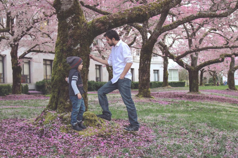 Free Image of Father and Son With Cherry Blossom Trees 