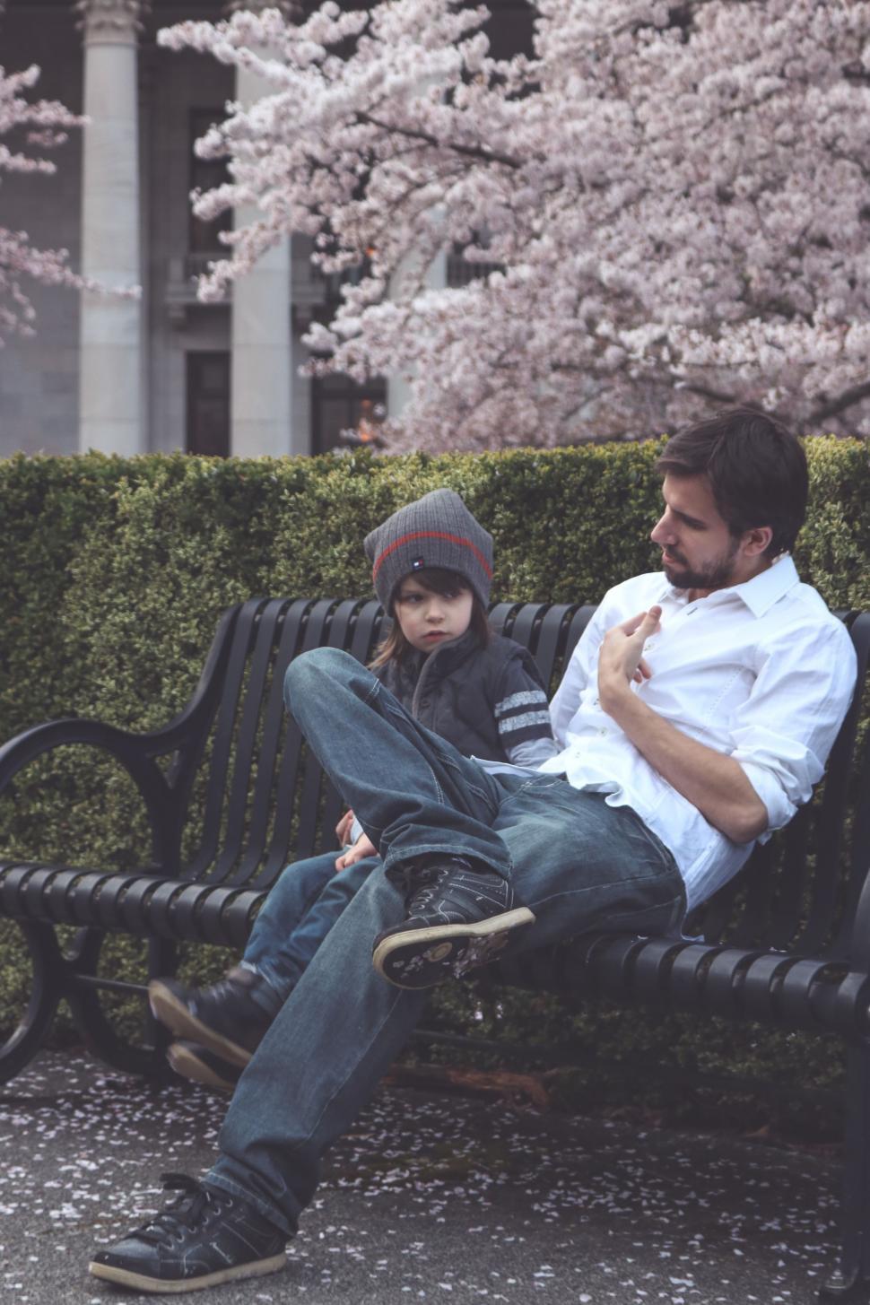 Free Image of Father and Son on Bench With Cherry Blossom Tree  