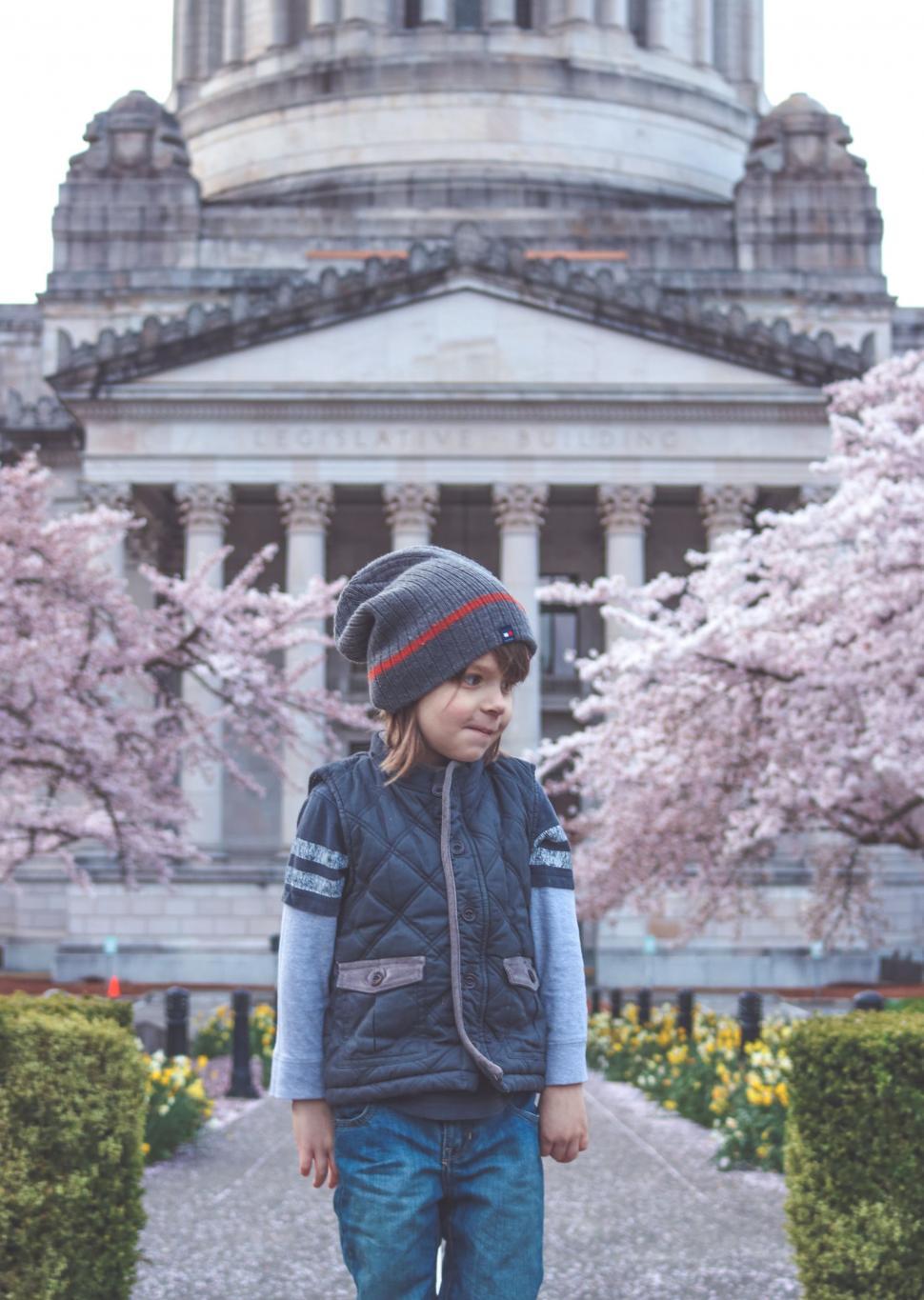 Free Image of Little Boy and Washington State Capitol Building With Cherry Blossom Trees 