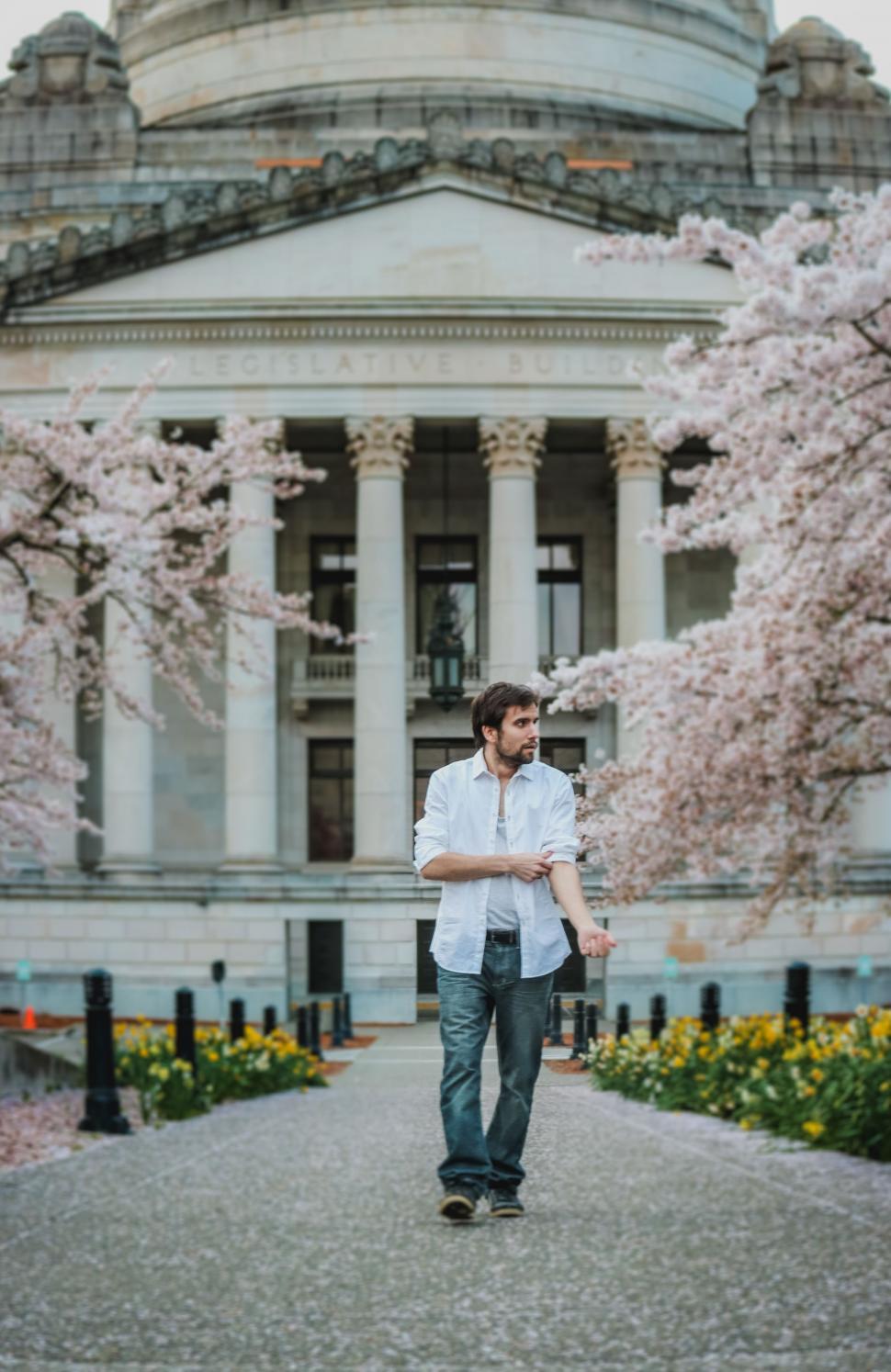 Free Image of Young Man and Washington State Capitol Building With Cherry Blossom - Looking away  