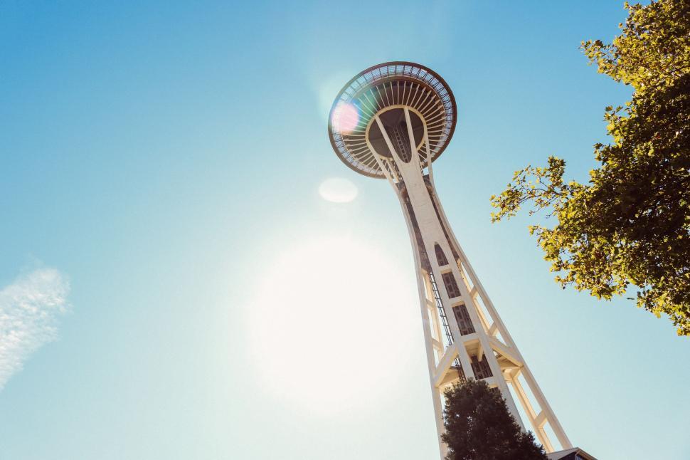 Free Image of Space Needle Tower and green leaves 