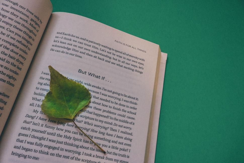 Free Image of Open Book With Leaf  