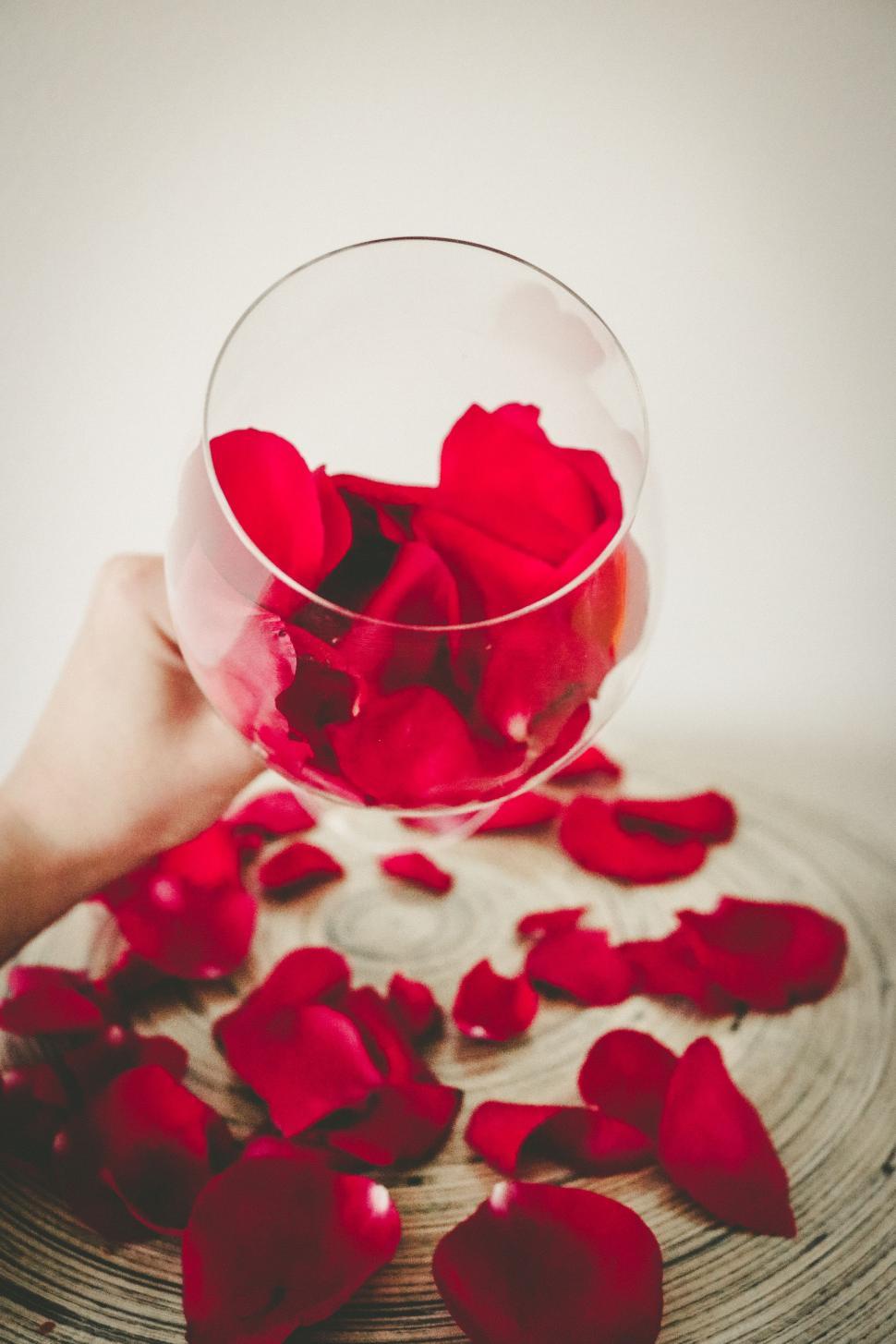 Free Image of Woman hand and rose petals with glass 