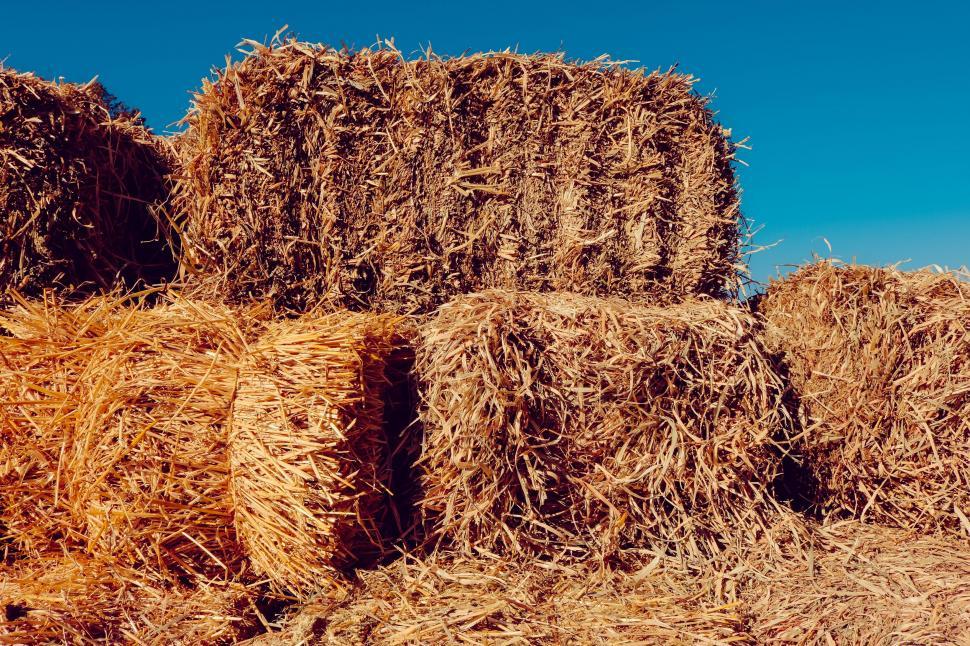 Free Image of Bricks hay 