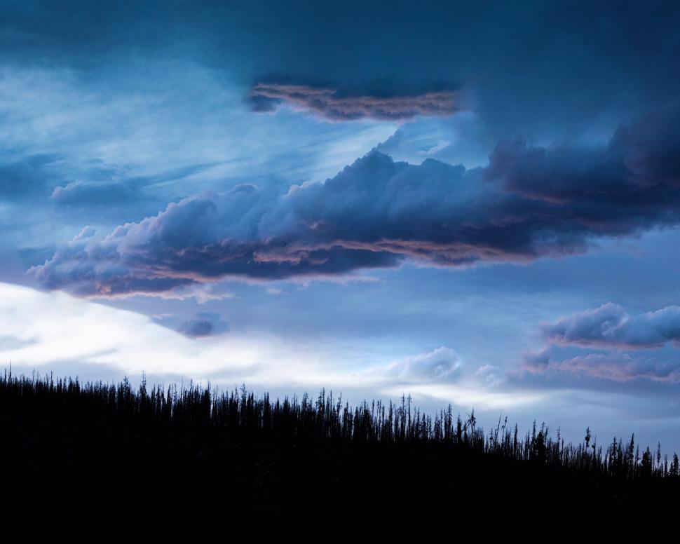 Free Image of Dark Sky With Clouds and Trees 